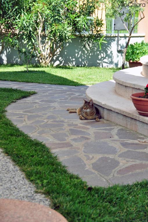 Villa Chiara Lazise Eksteriør bilde